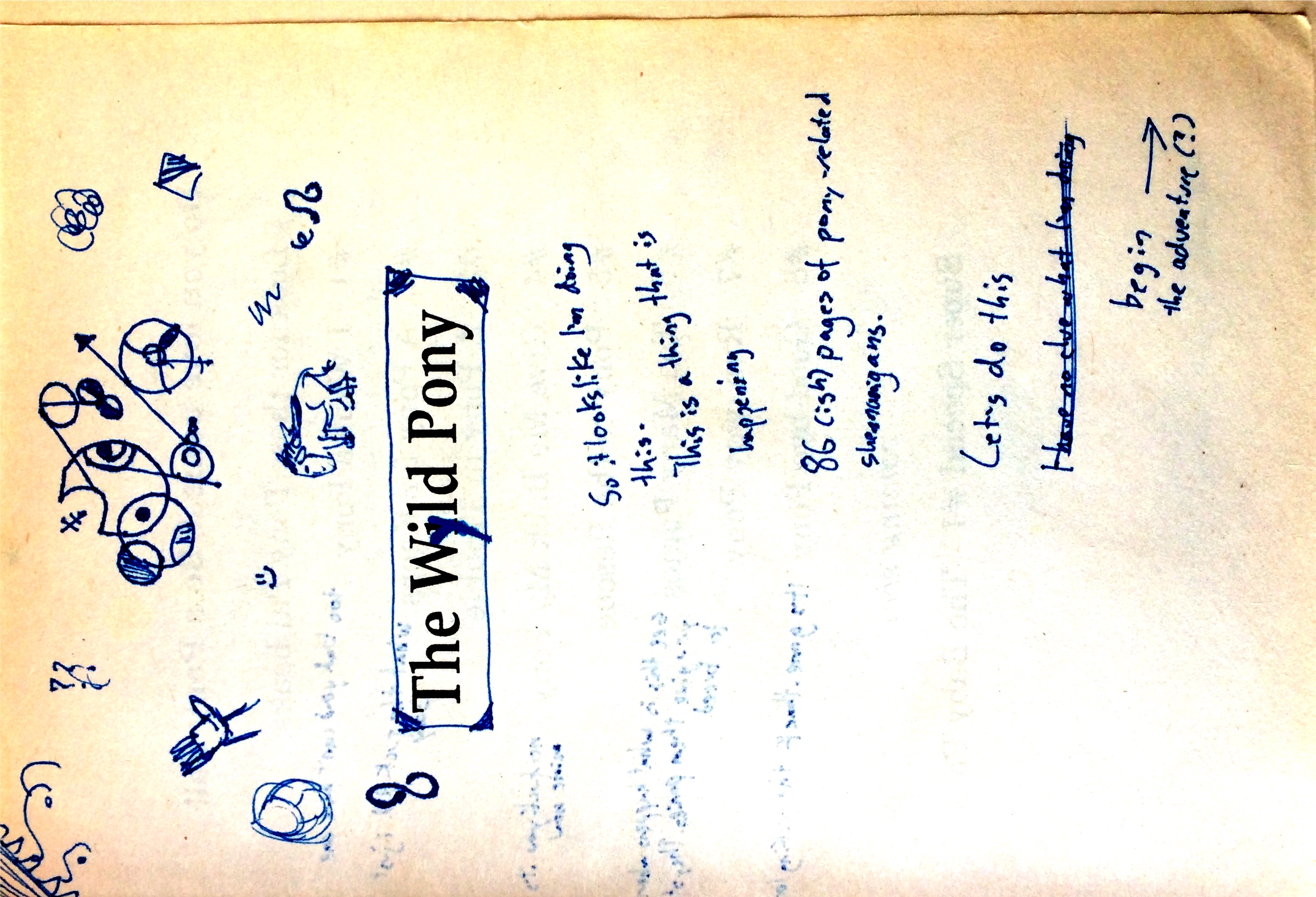 TheWildPonyPage2.jpg
