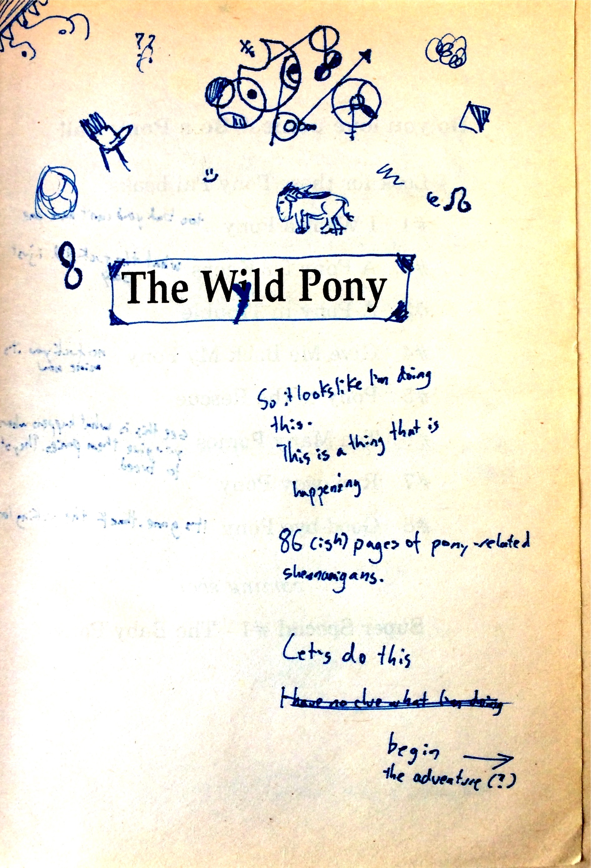 TheWildPonyPage2.jpg