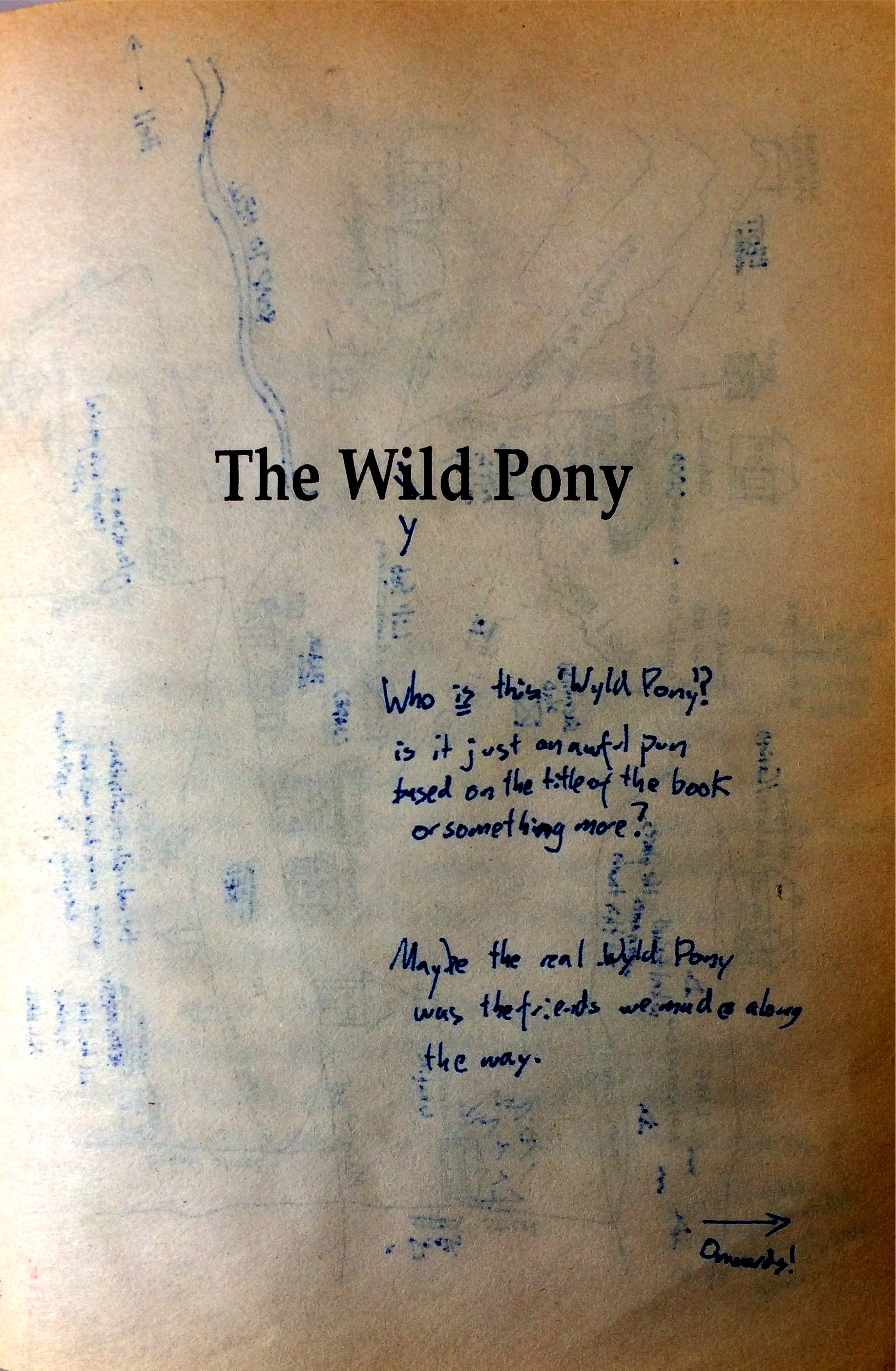 TheWildPonyPage8.jpg