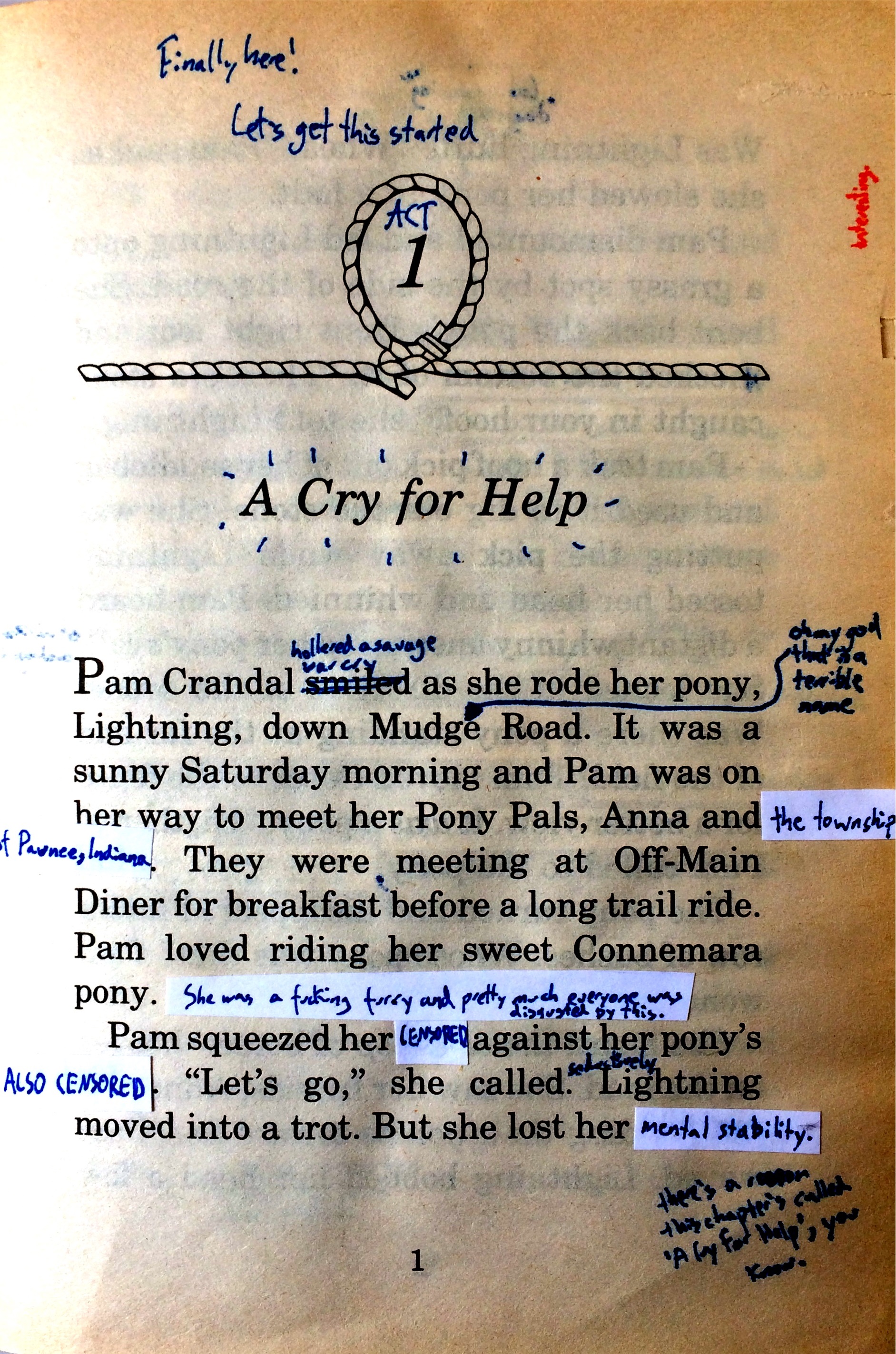 TheWildPonyPage10.jpg