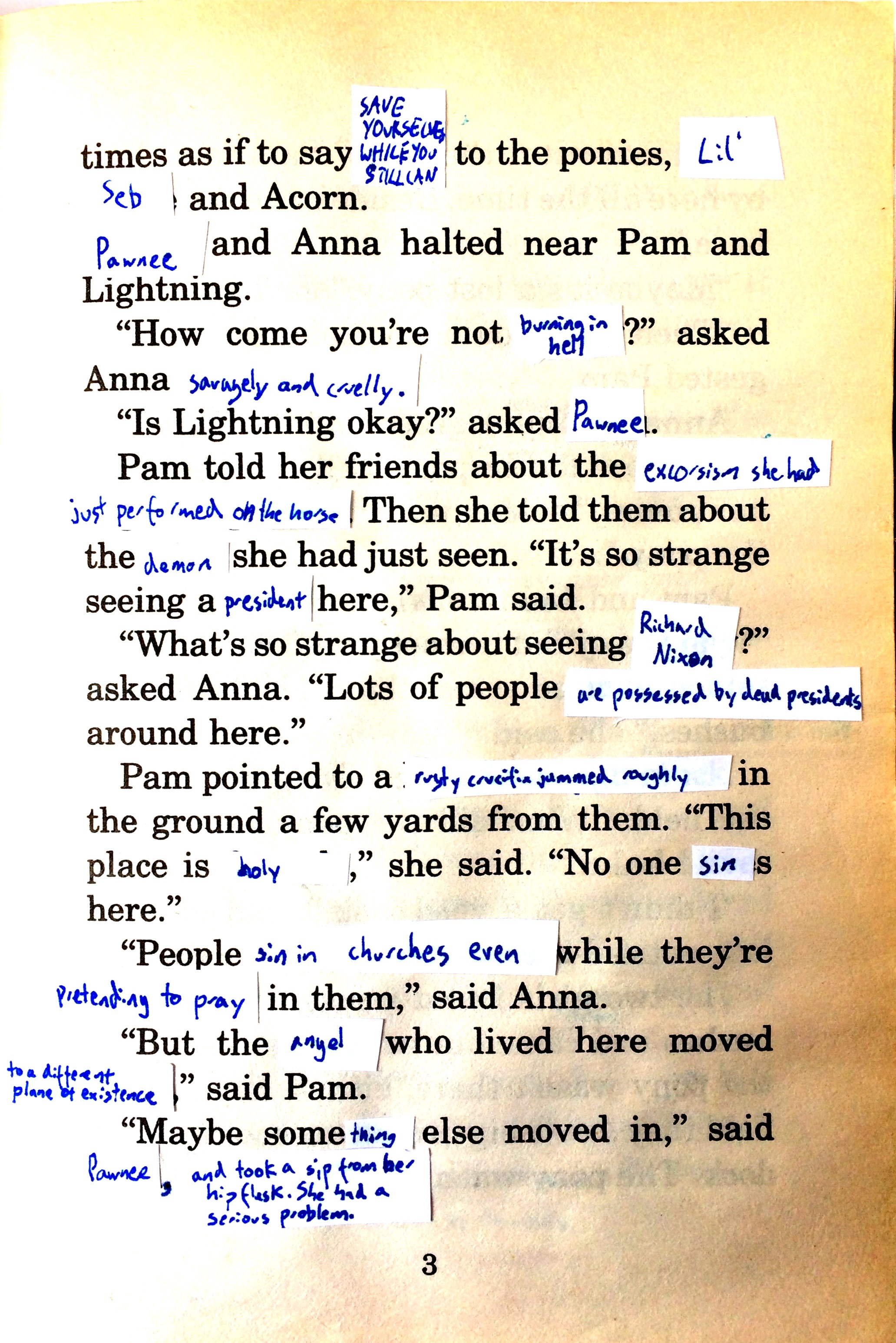 TheWildPonyPage12.jpg