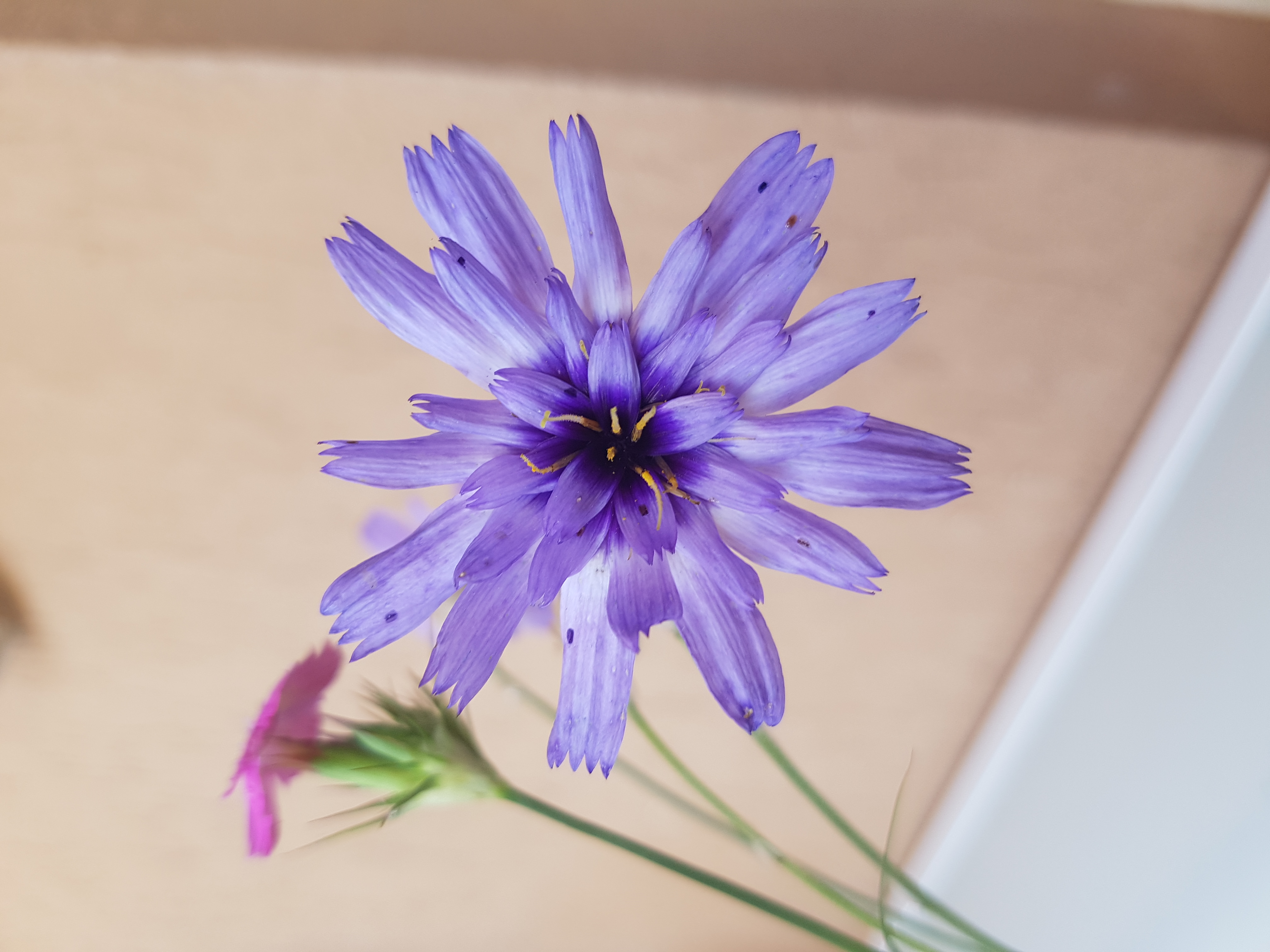 20180630_123938.jpg