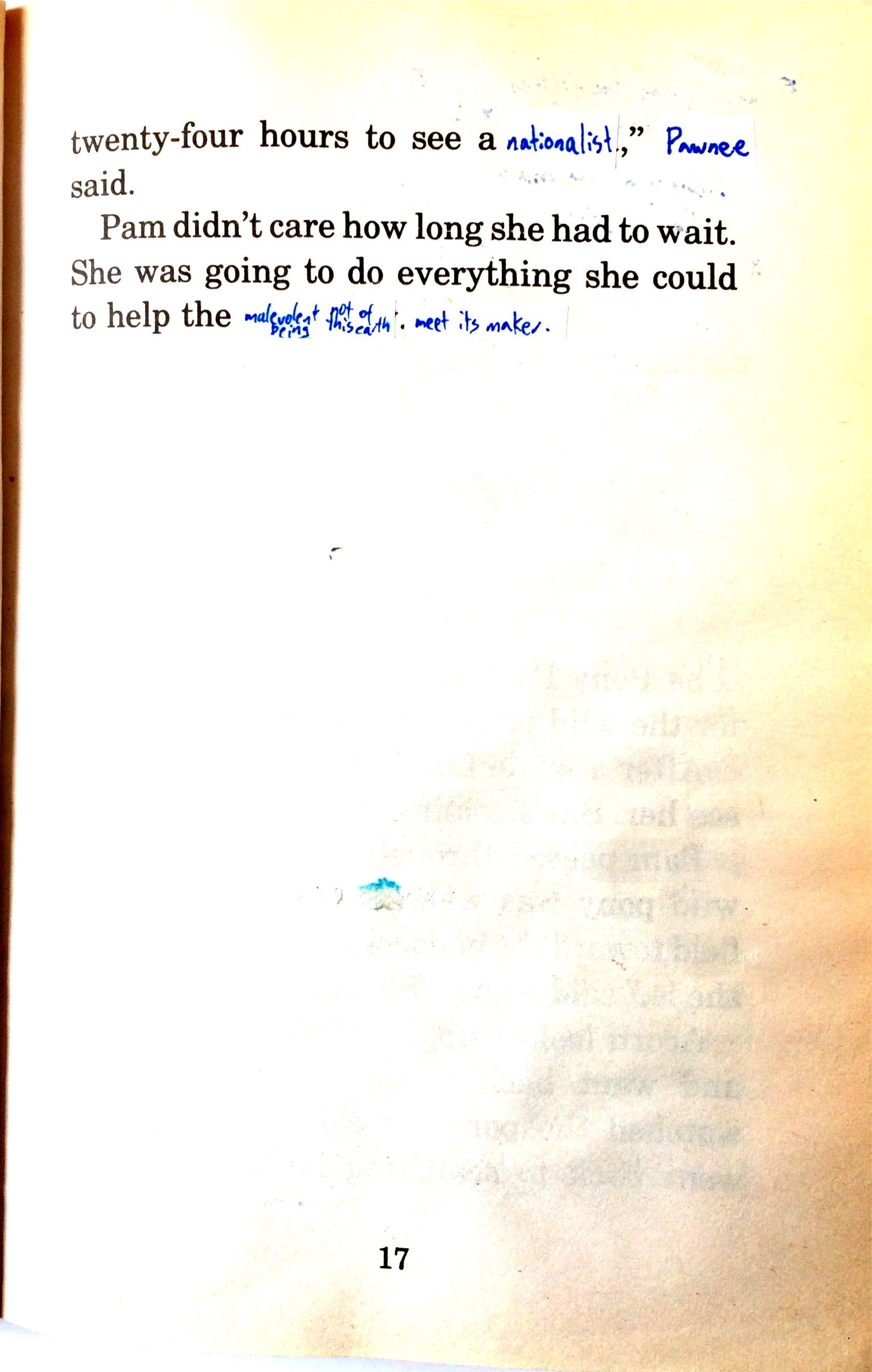 TheWildPonyPage26.jpg