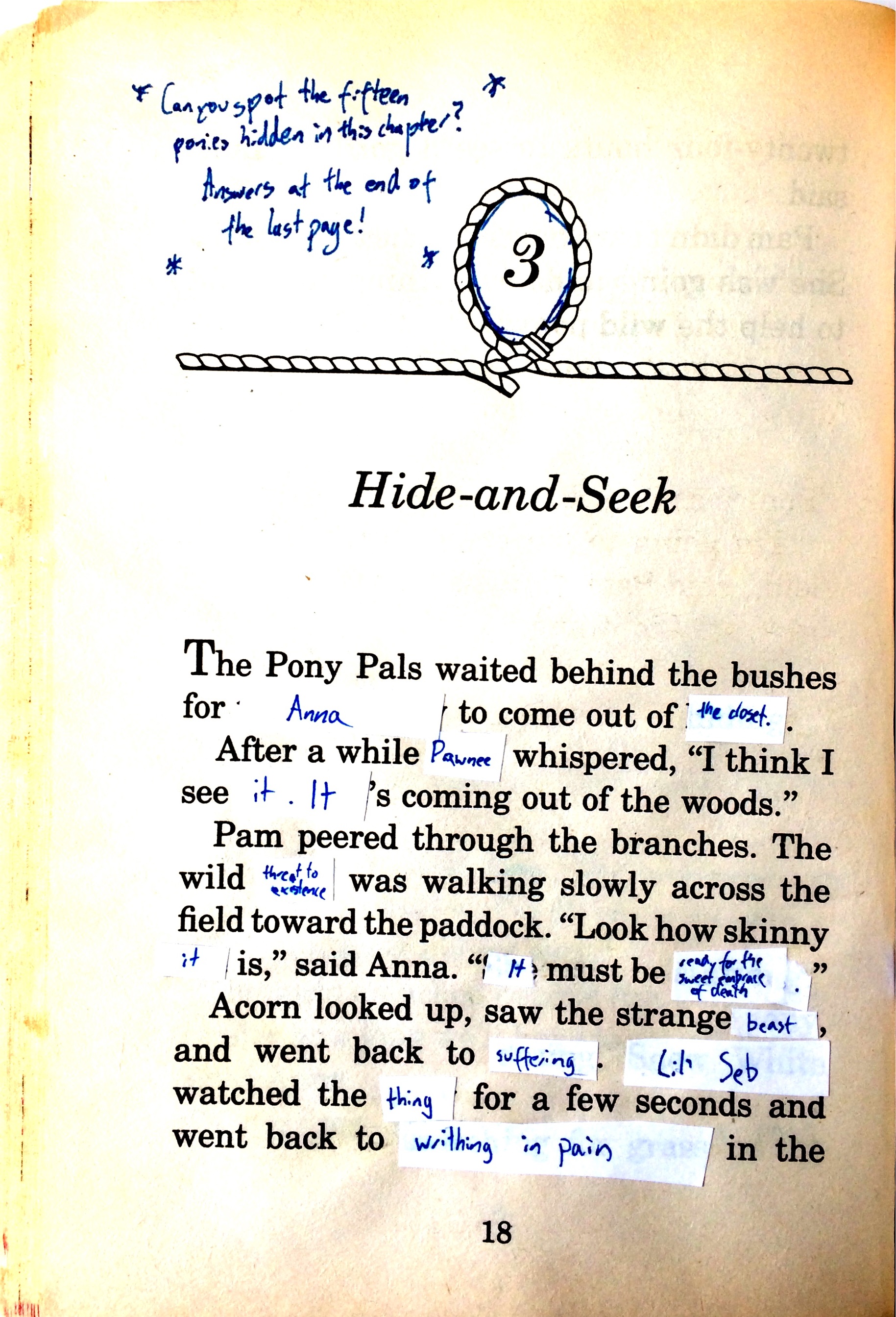 TheWildPonyPage27.jpg