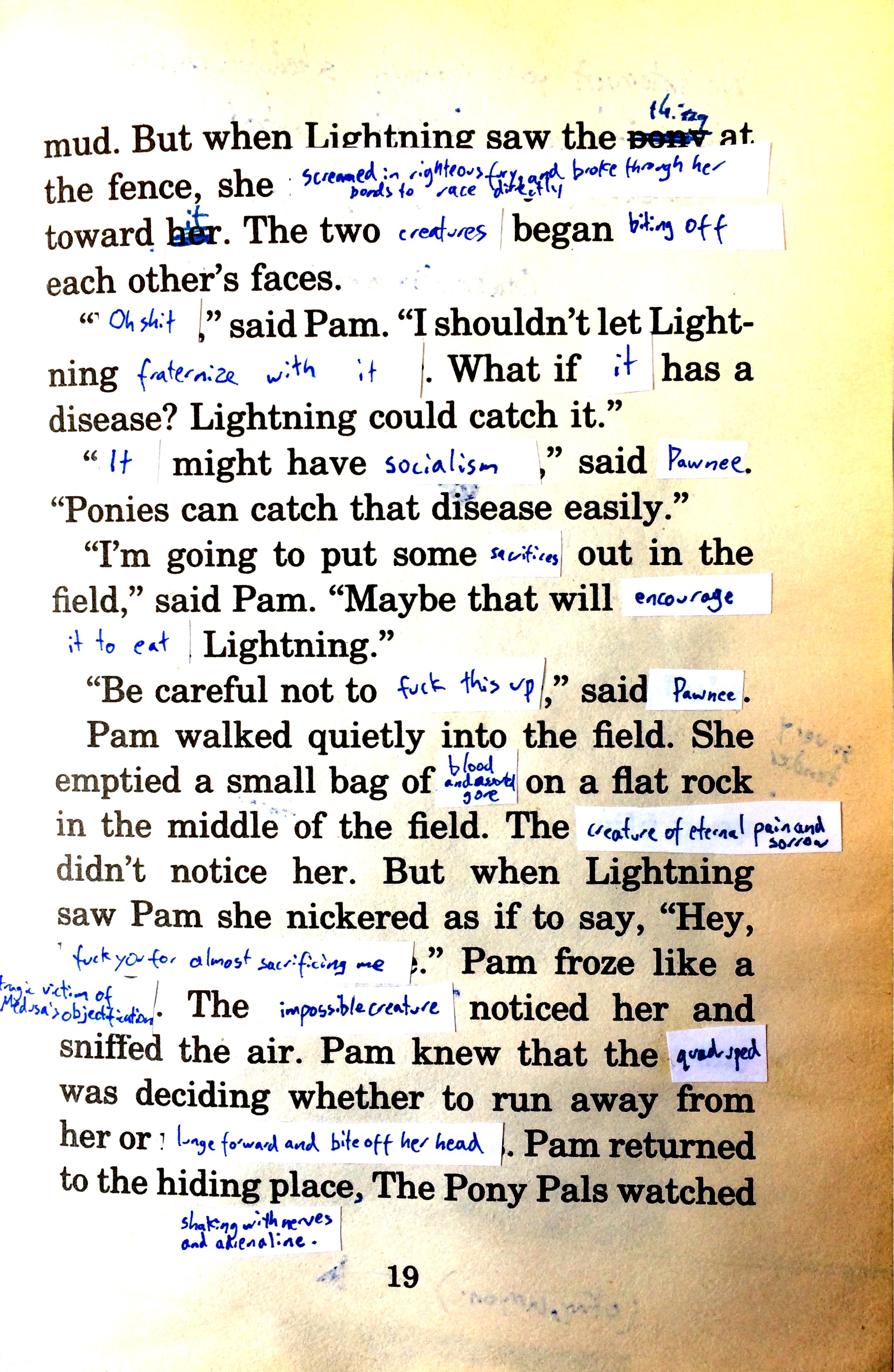 TheWildPonyPage28.jpg