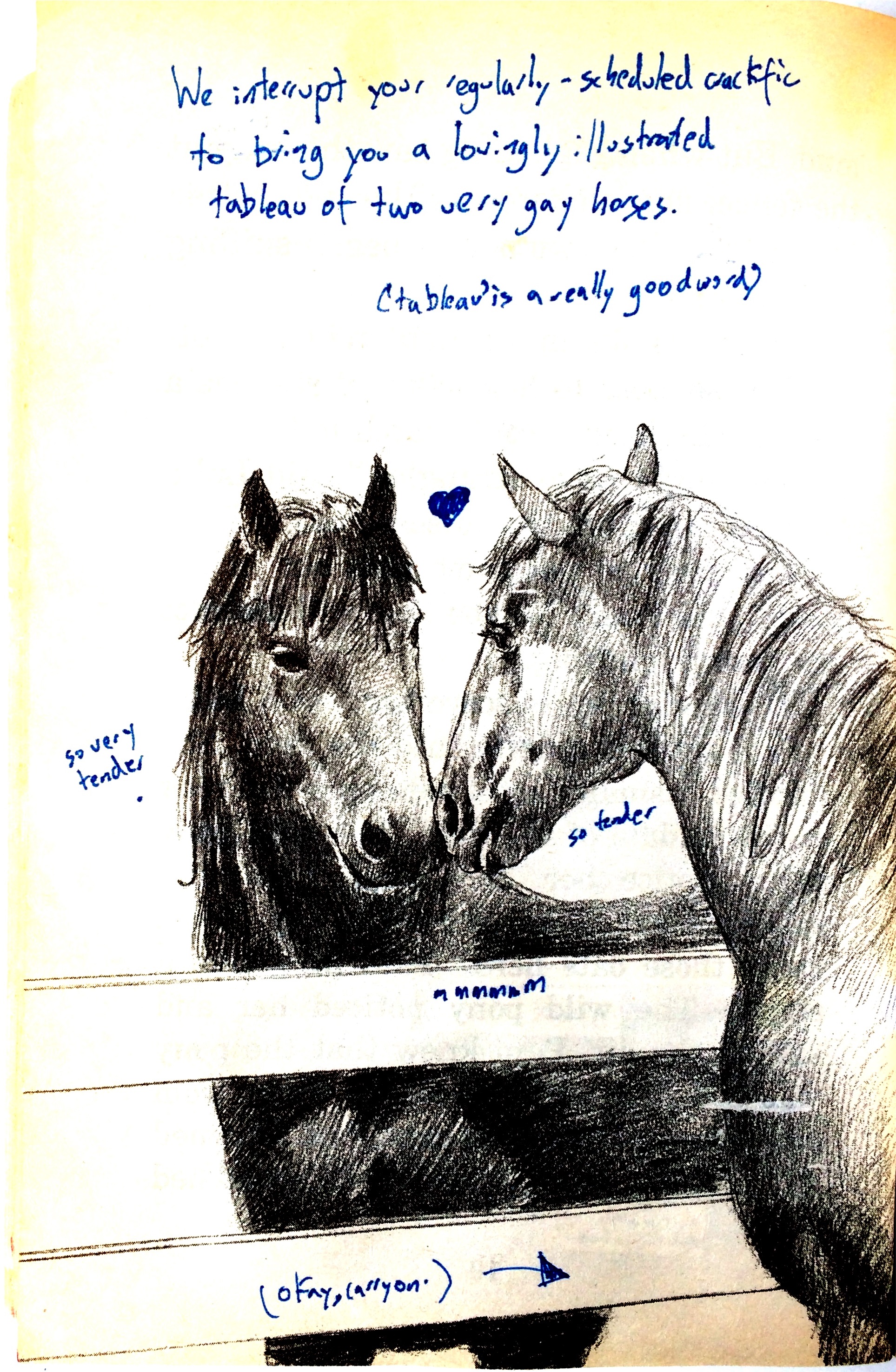 TheWildPonyPage29.jpg