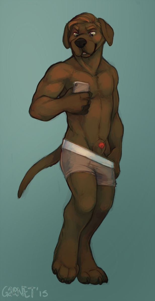 Update.png