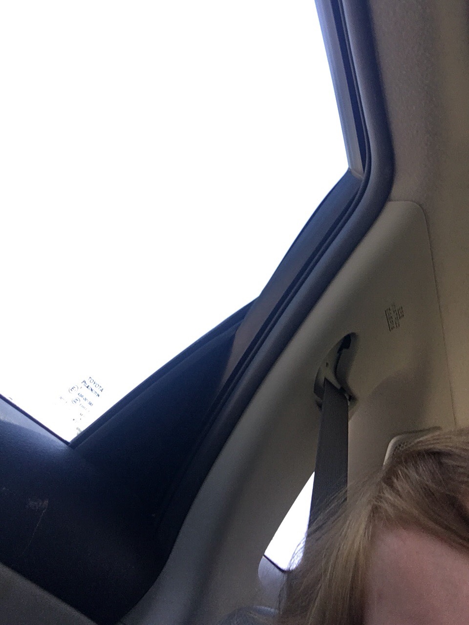 file.jpg