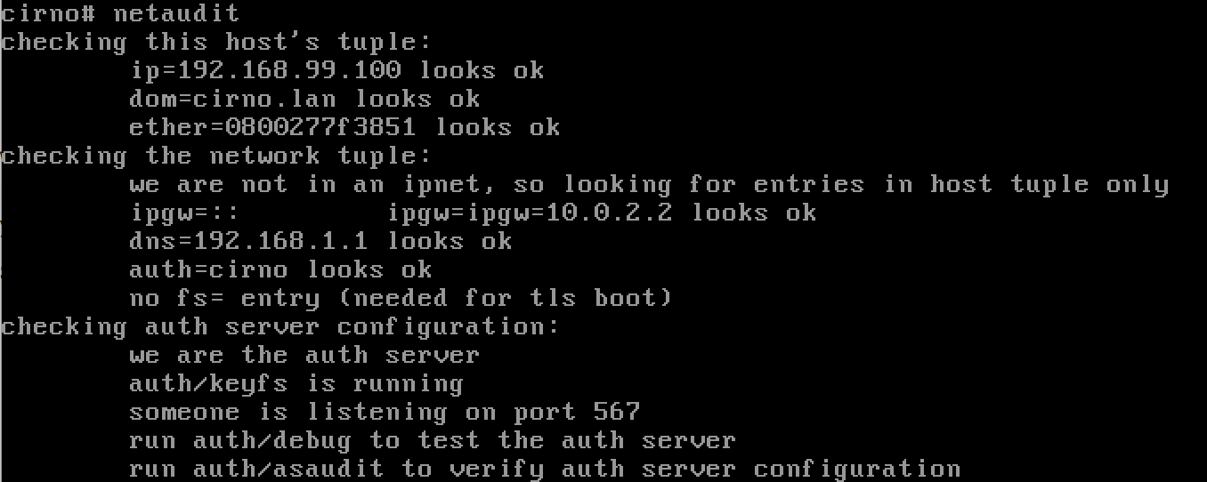 netaudit
