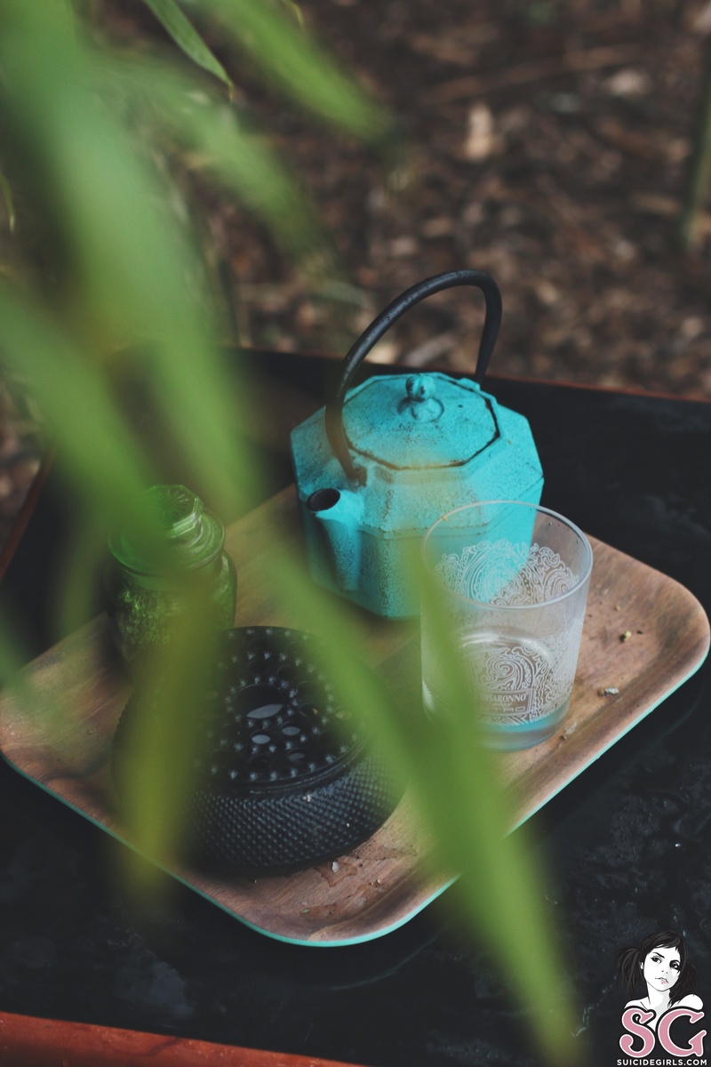 bizzyketto-thesecrettotea-01.jpg