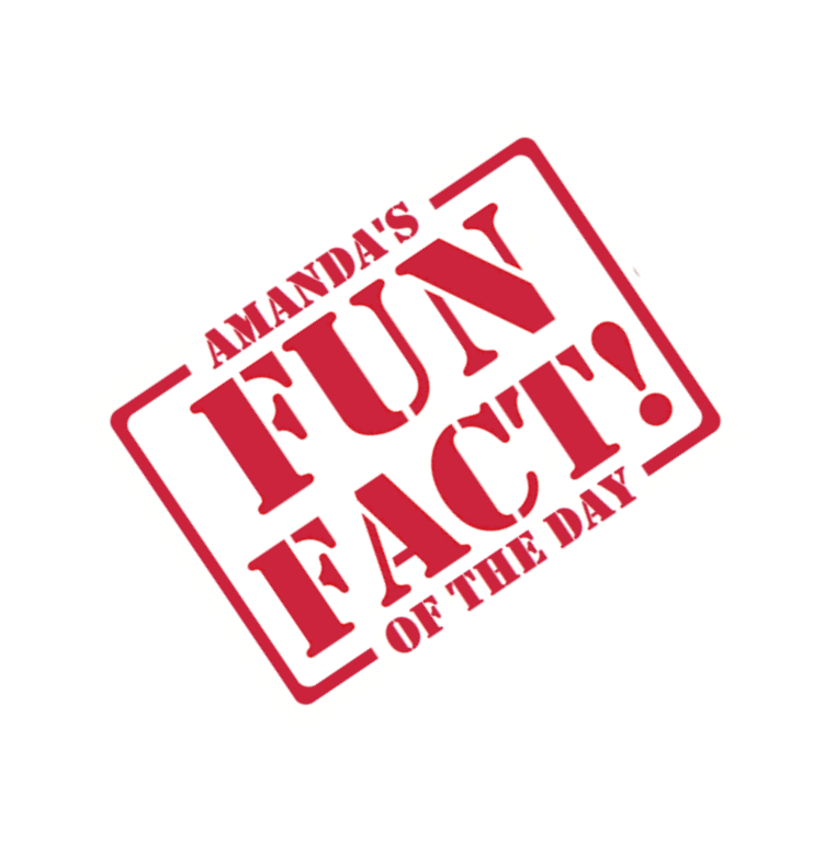 imageedit_7_3822324886.png