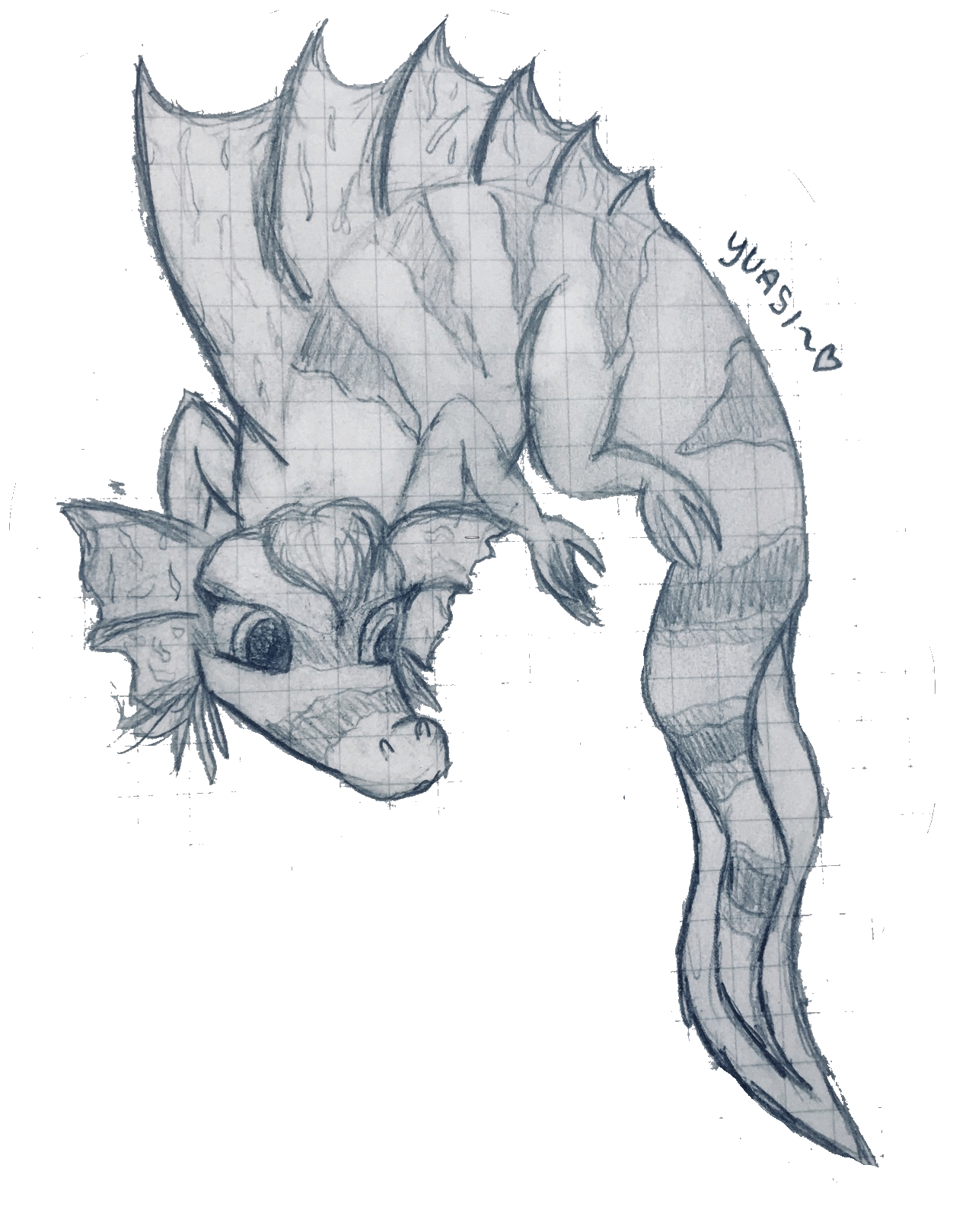 imageedit_9_4910973161.gif
