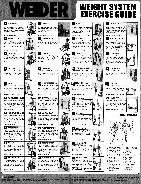 RIS.jpg