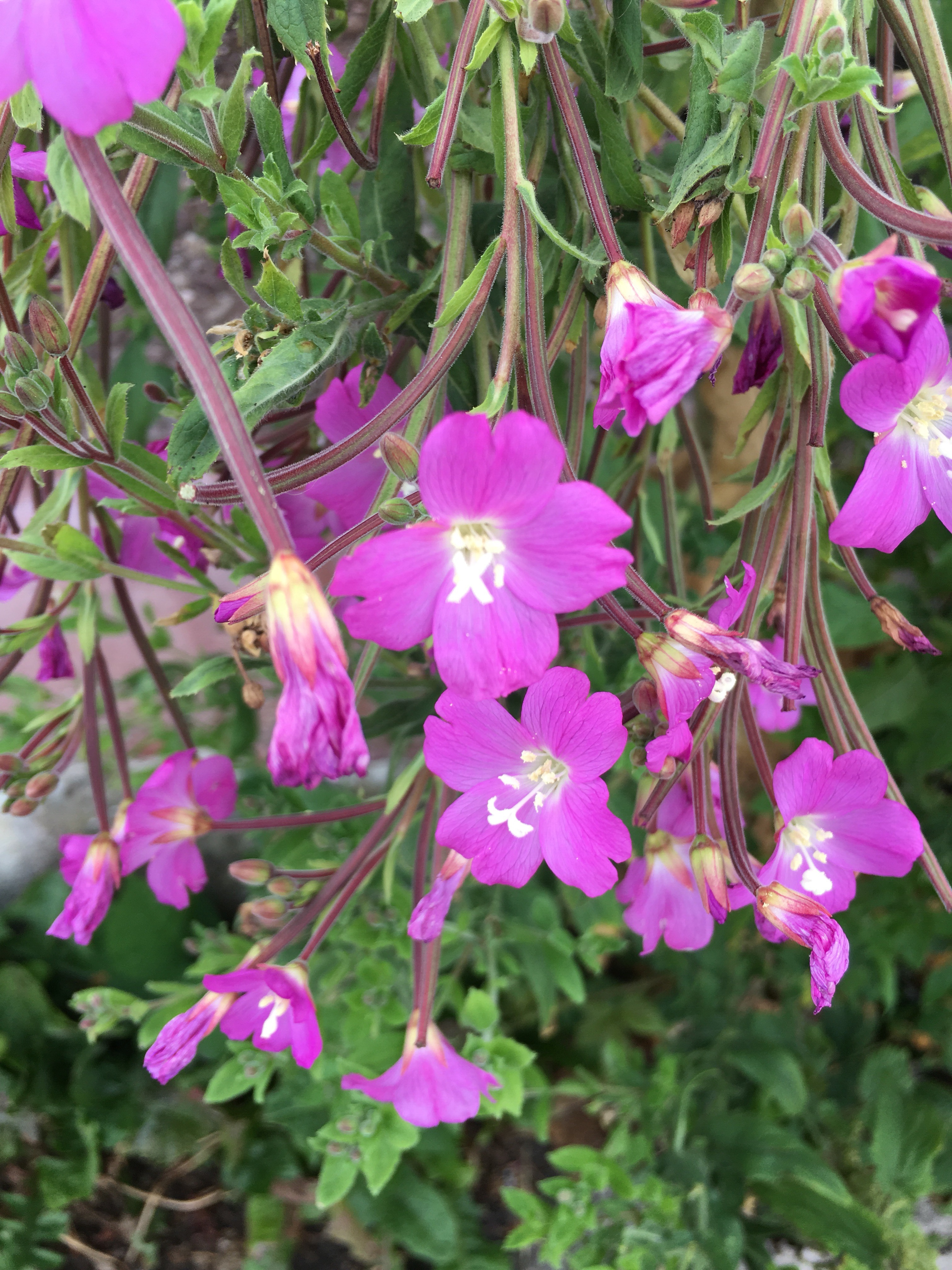 file.jpg