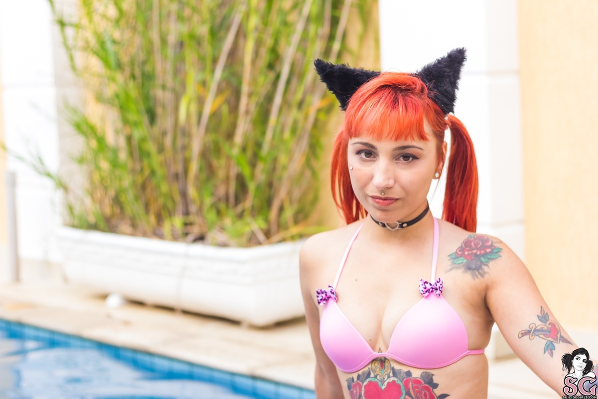 fuzz-purrparty-01.jpg