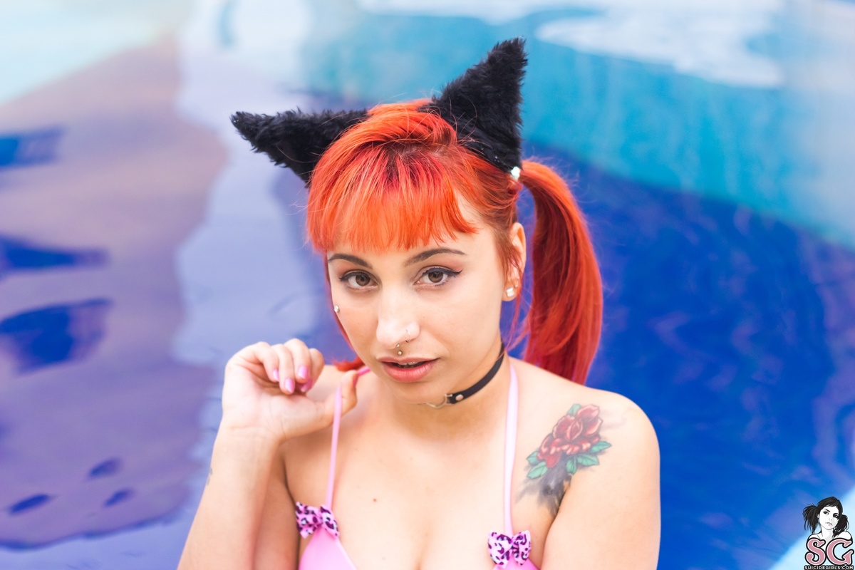 fuzz-purrparty-05.jpg