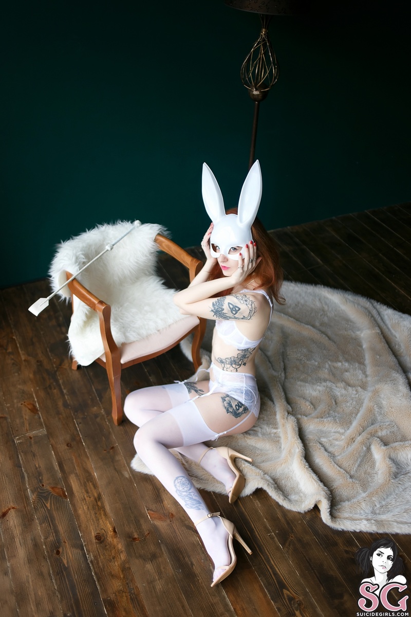 dimarti-hellyeahbunny-01.jpg