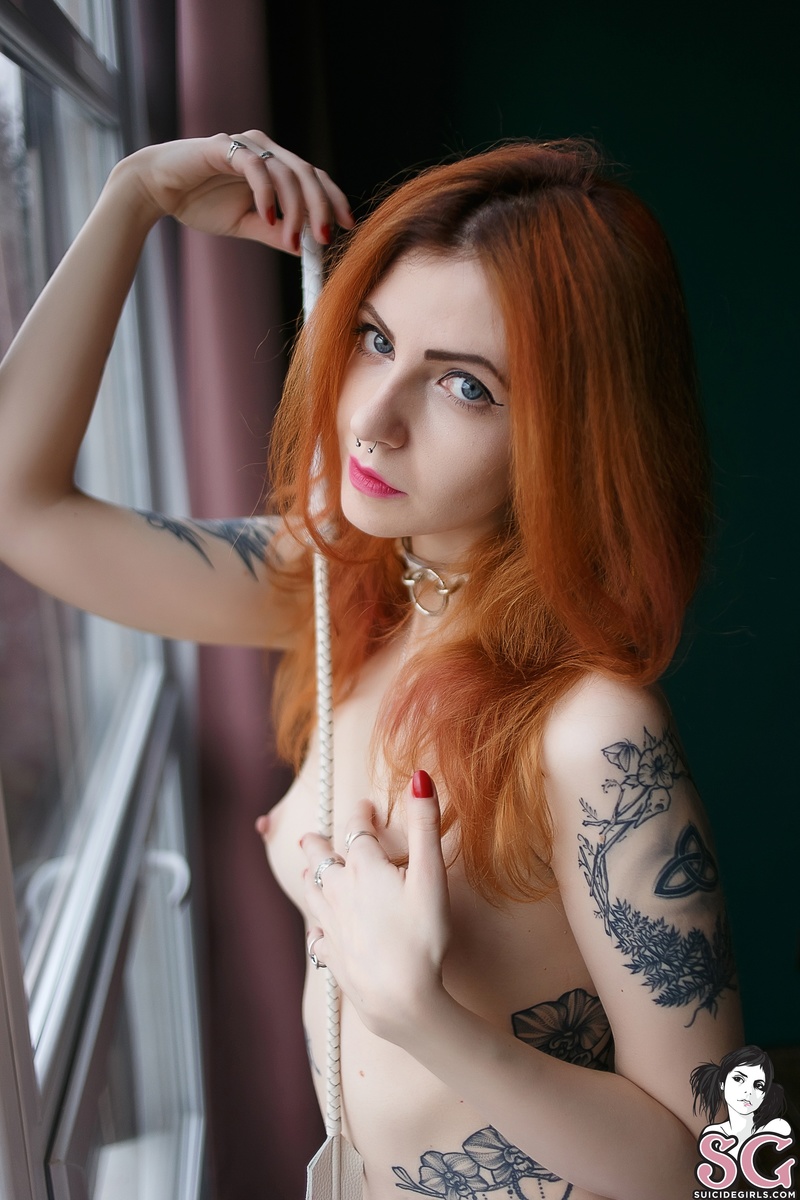 dimarti-hellyeahbunny-19.jpg