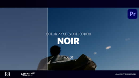 47632809-noir-lut.jpg