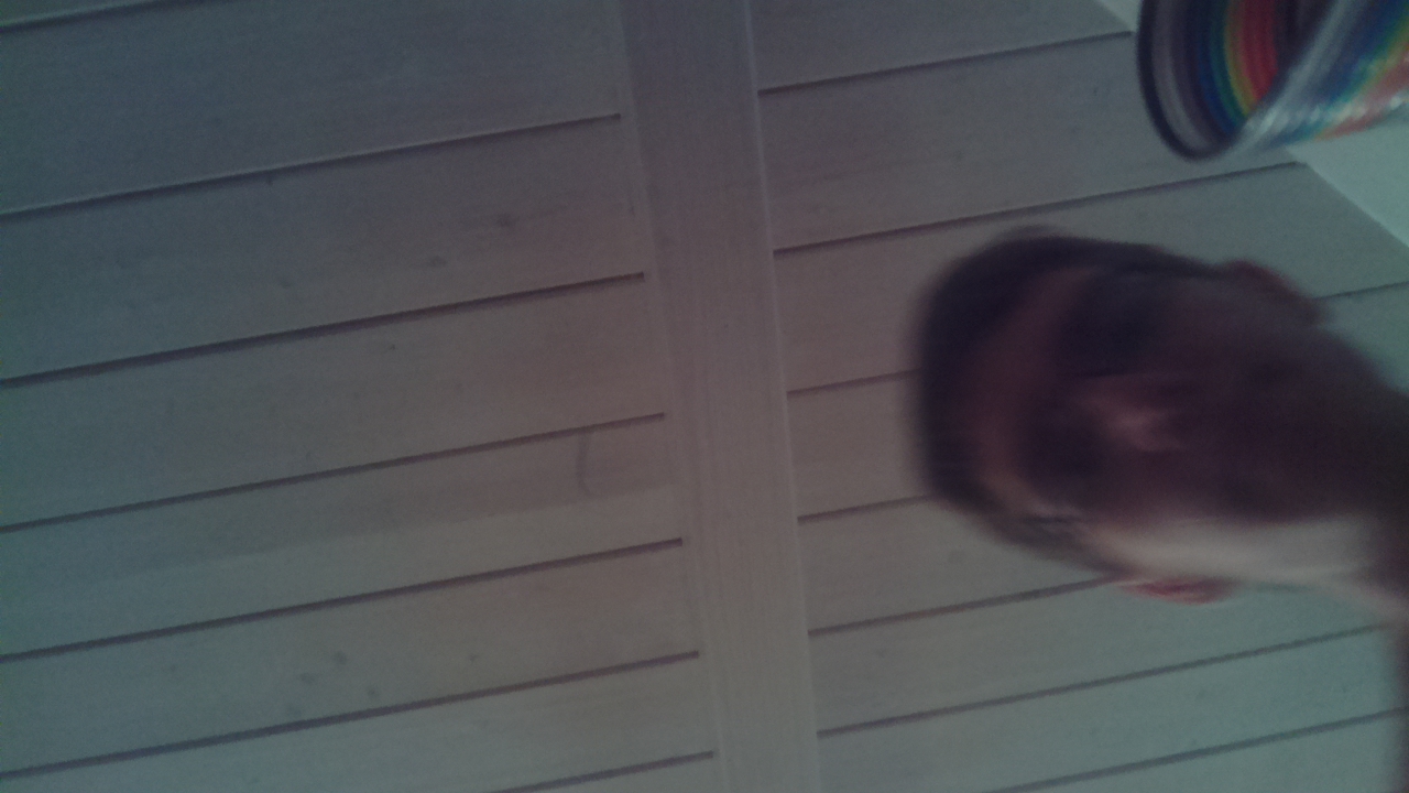 camera.jpg