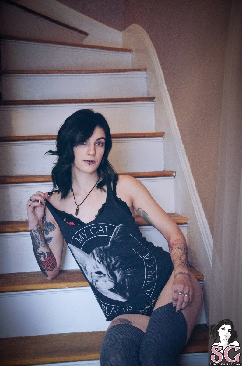 witcherywoods-tabby-11.jpg