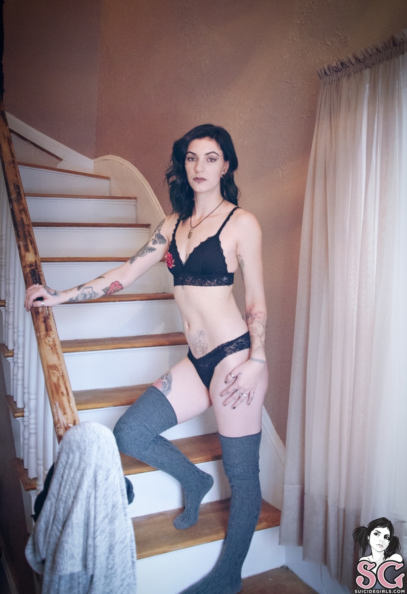 witcherywoods-tabby-17.jpg