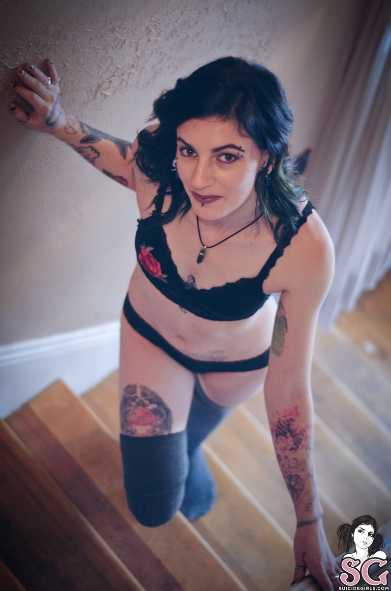 witcherywoods-tabby-21.jpg