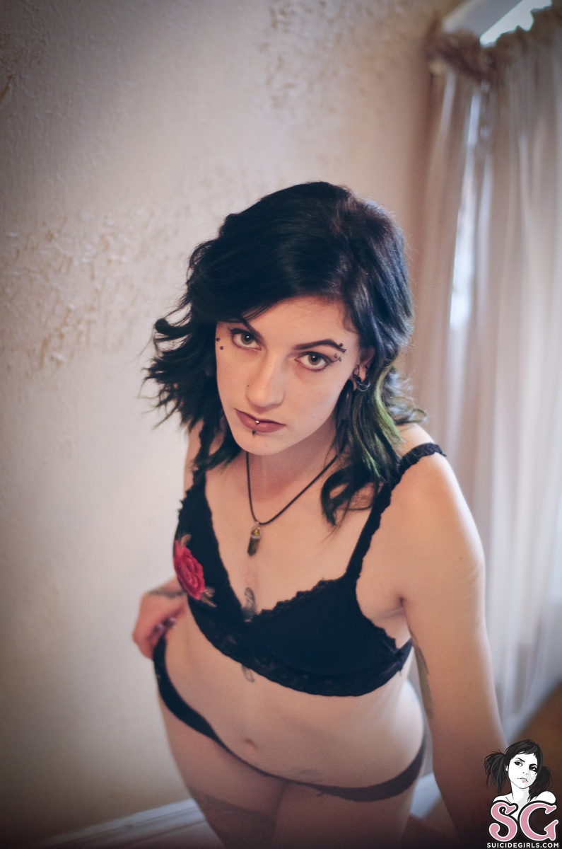 witcherywoods-tabby-23.jpg