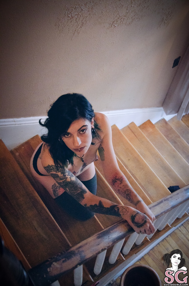 witcherywoods-tabby-31.jpg