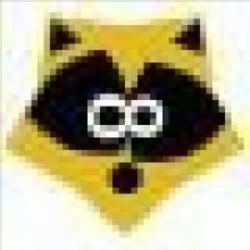 Golden Raccoon