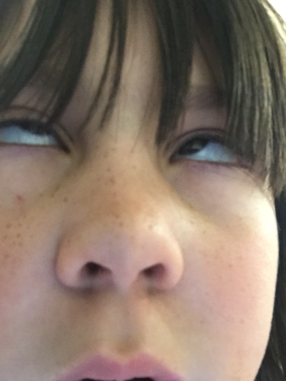 file.jpg