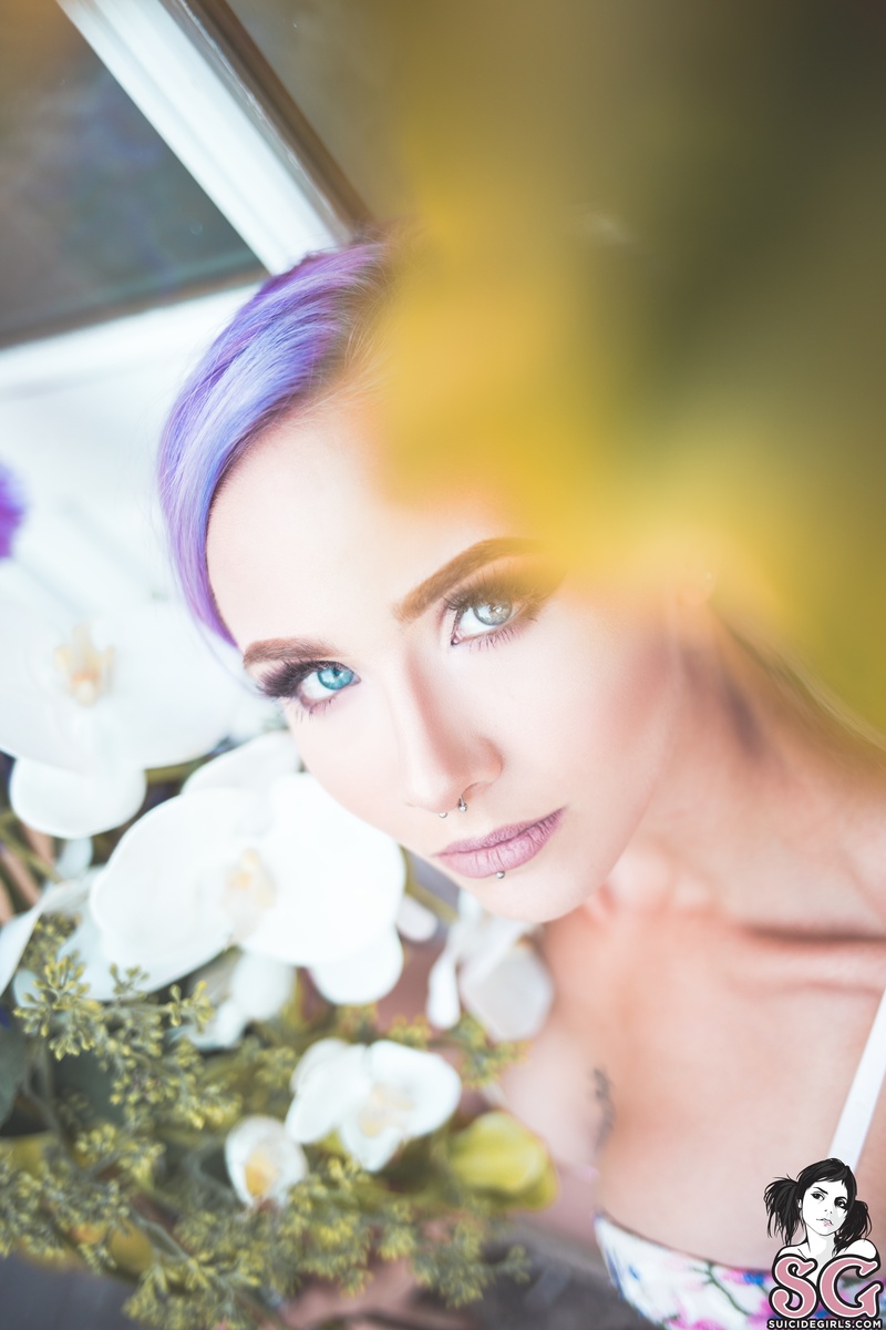 indigo-belledejour-03.jpg