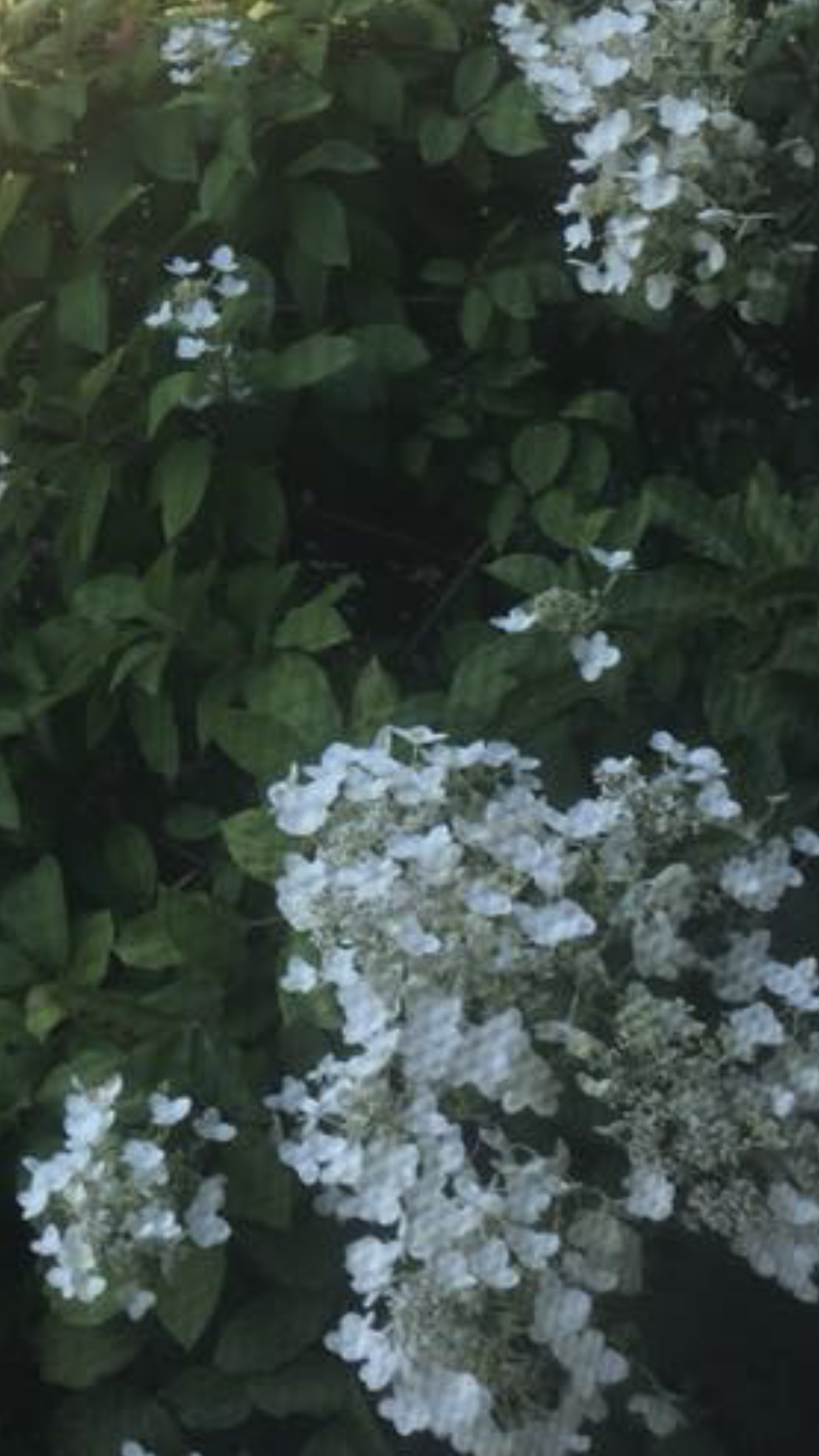 file.jpg