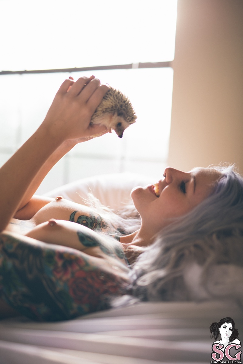 ruben-lavendermorning-29.jpg