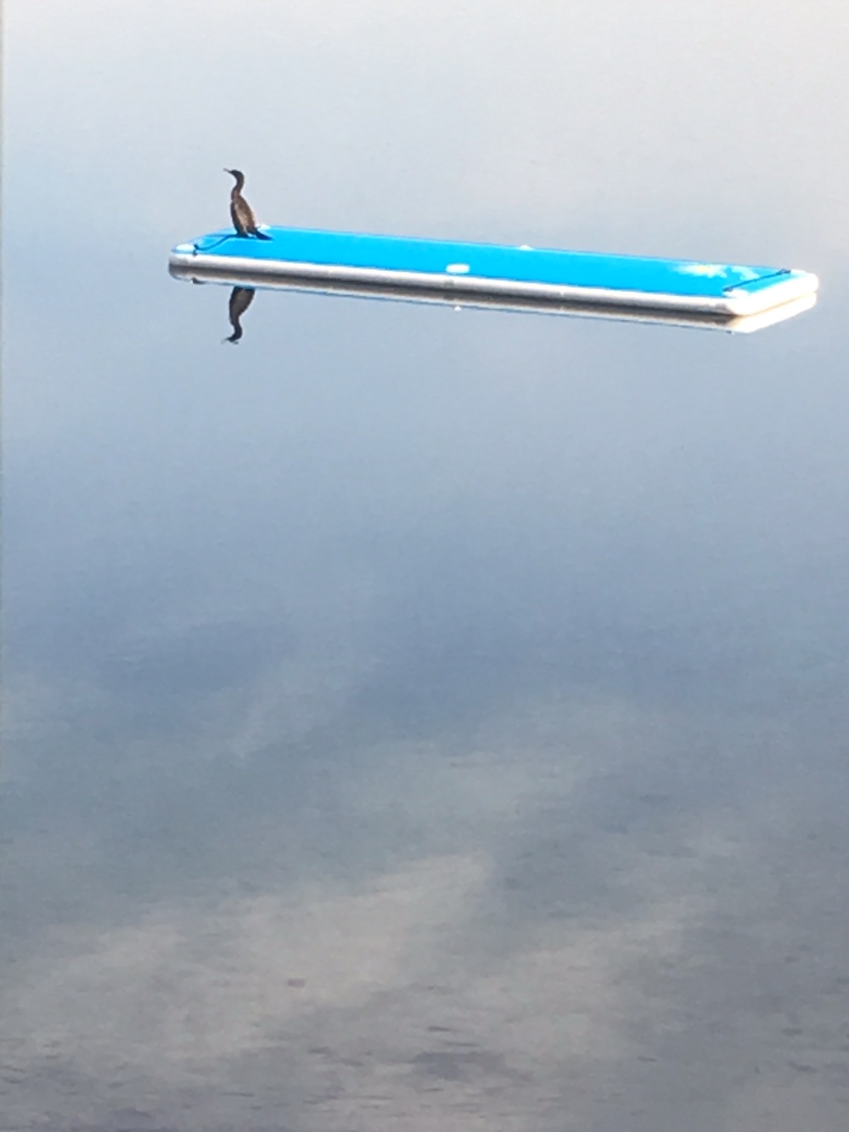 file.jpg