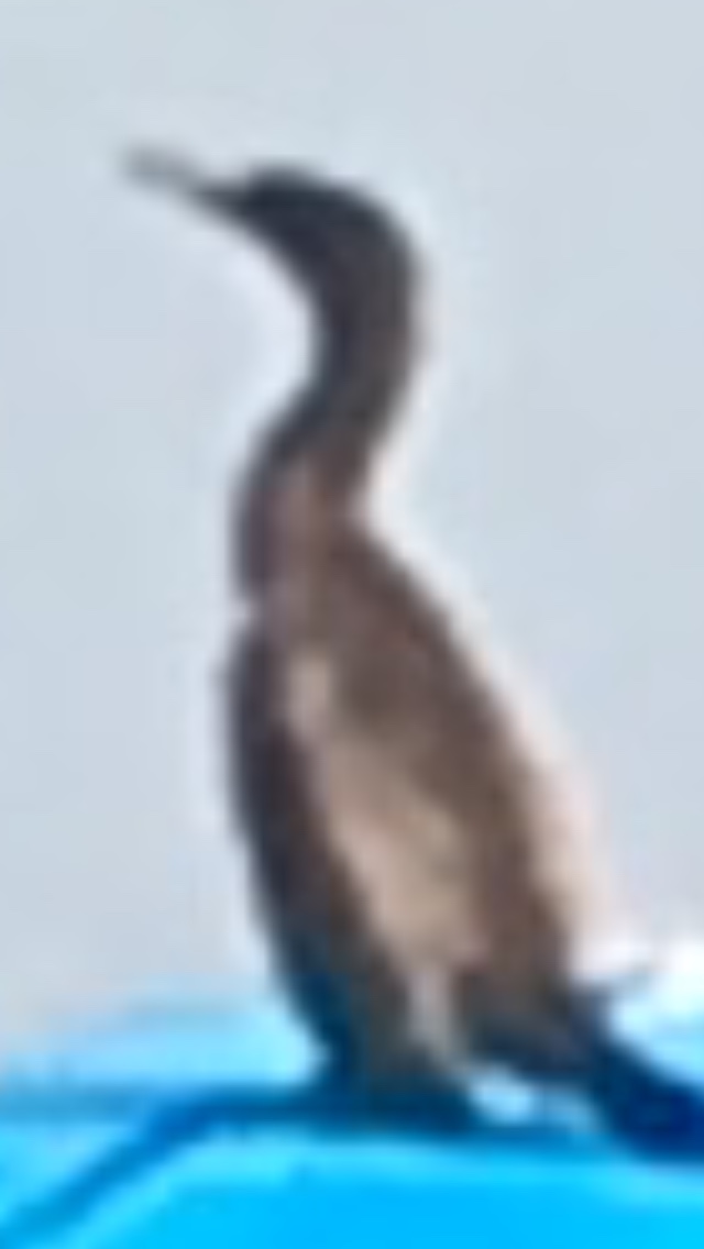 file.jpg