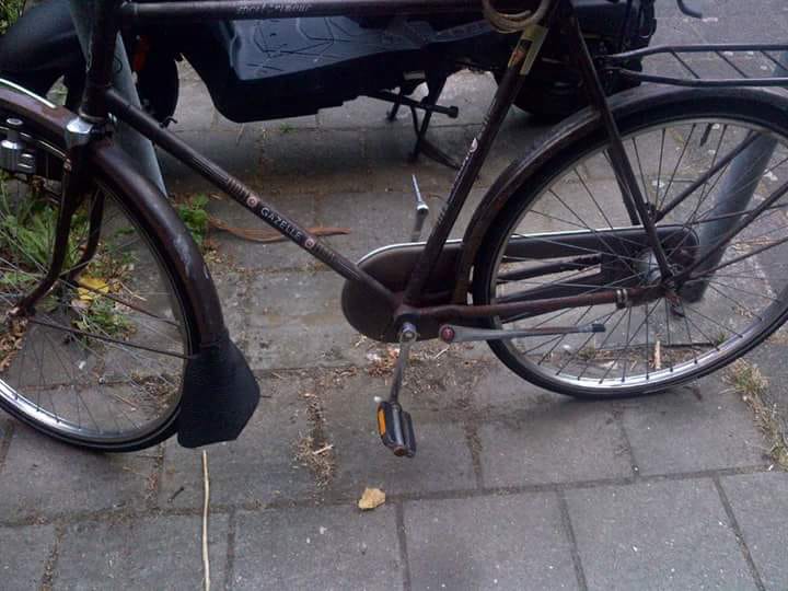 File..jpg