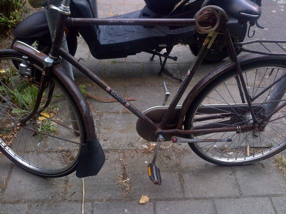 File..jpg