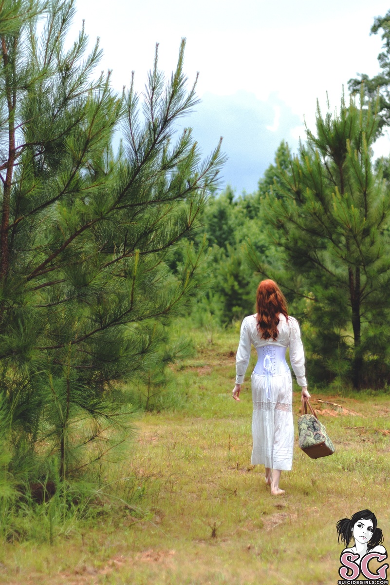 libris-anneofgreengables-03.jpg