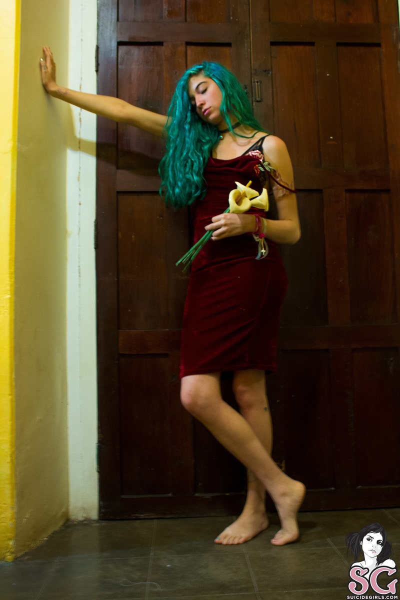 celince-thehouseofthealcatrazflower-01.jpg