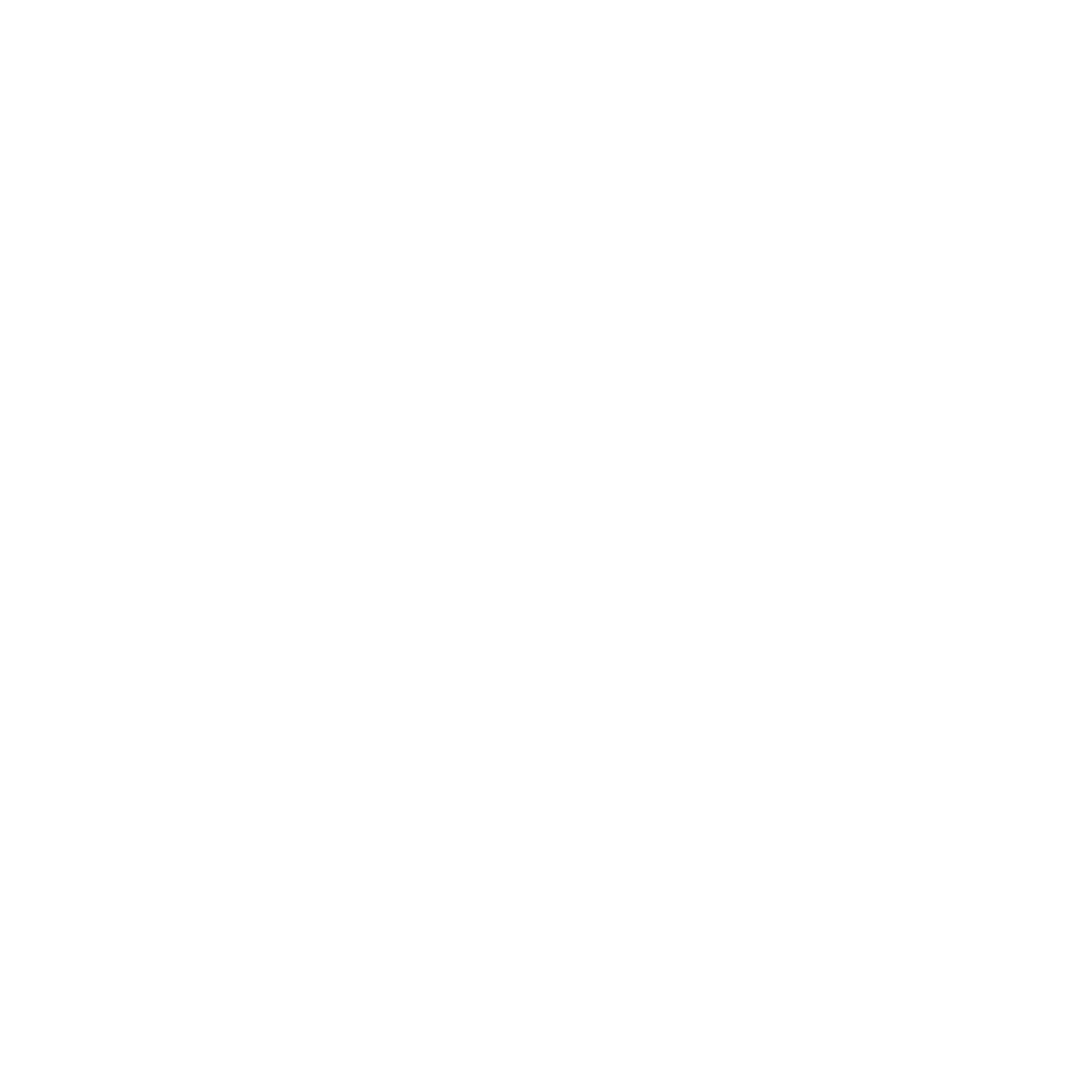 LOGO BLANC FLEXSTART