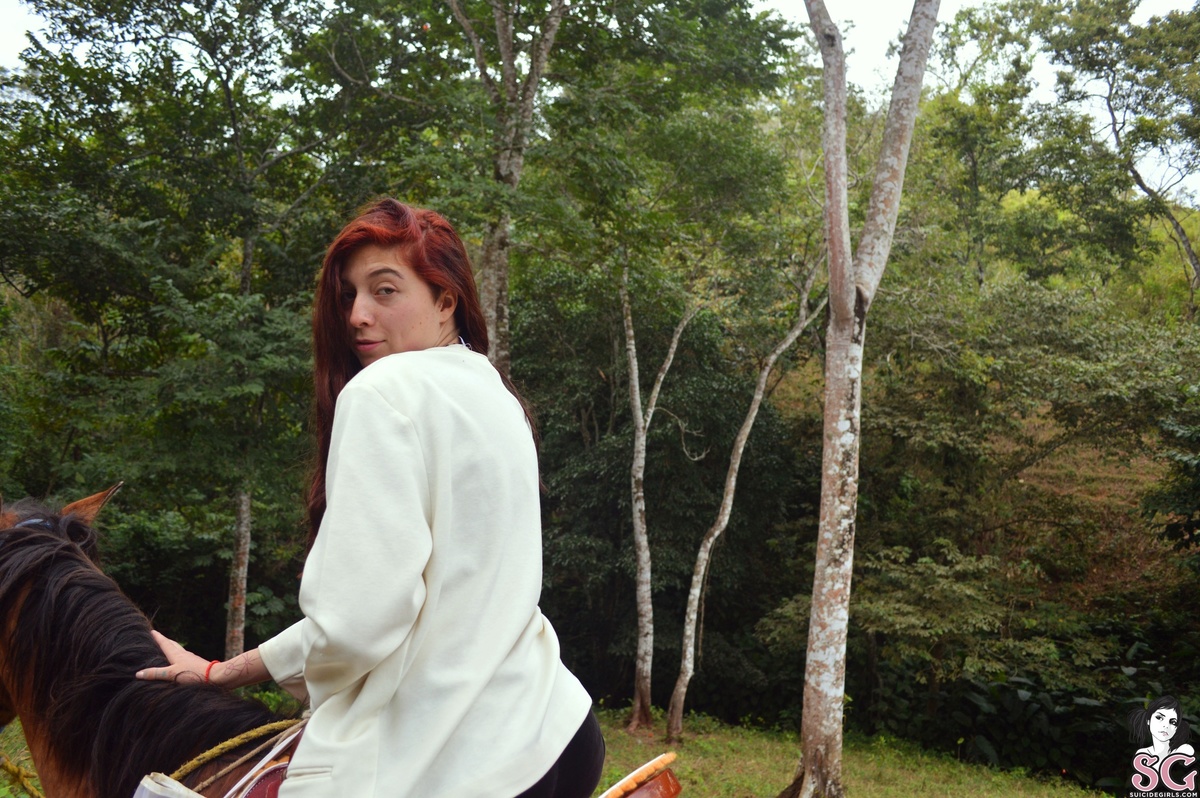 celince-throughthejungle-01.jpg