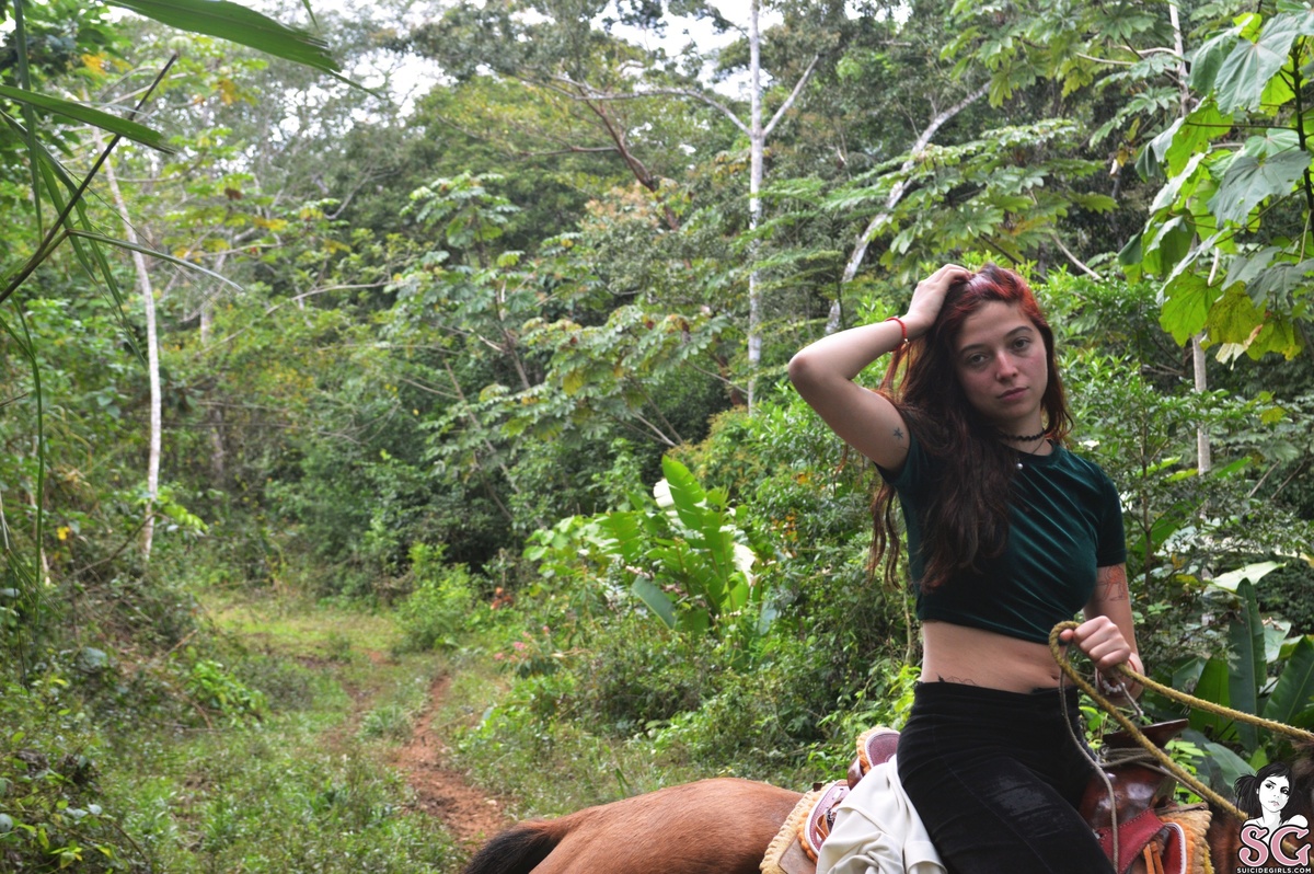 celince-throughthejungle-03.jpg