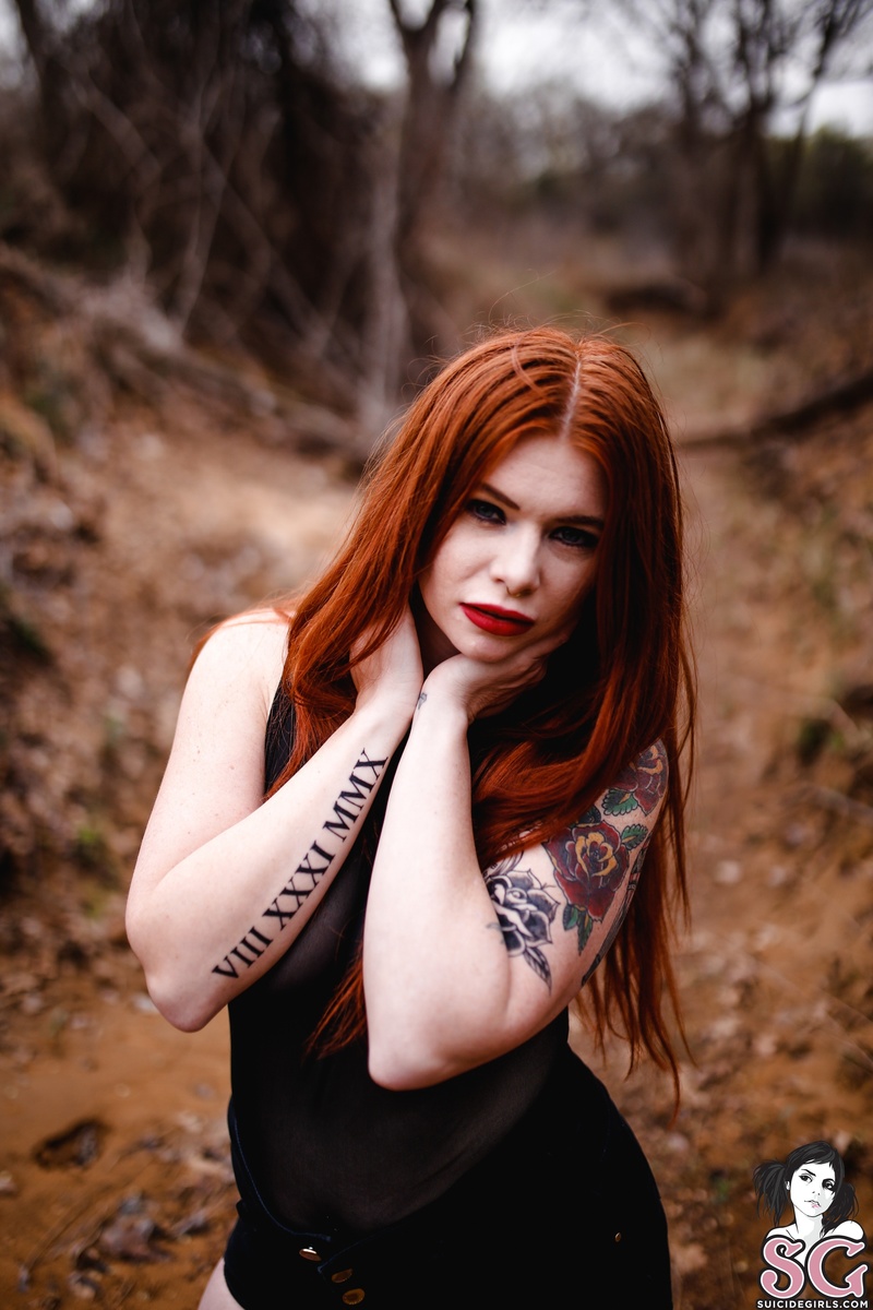 lushlex-wildfree-03.jpg