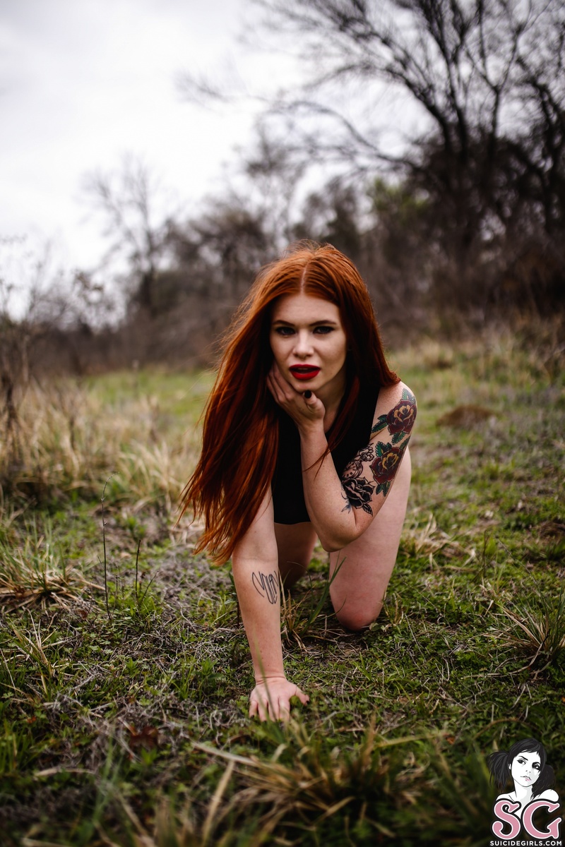 lushlex-wildfree-17.jpg
