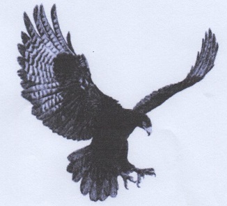 Black Eagle