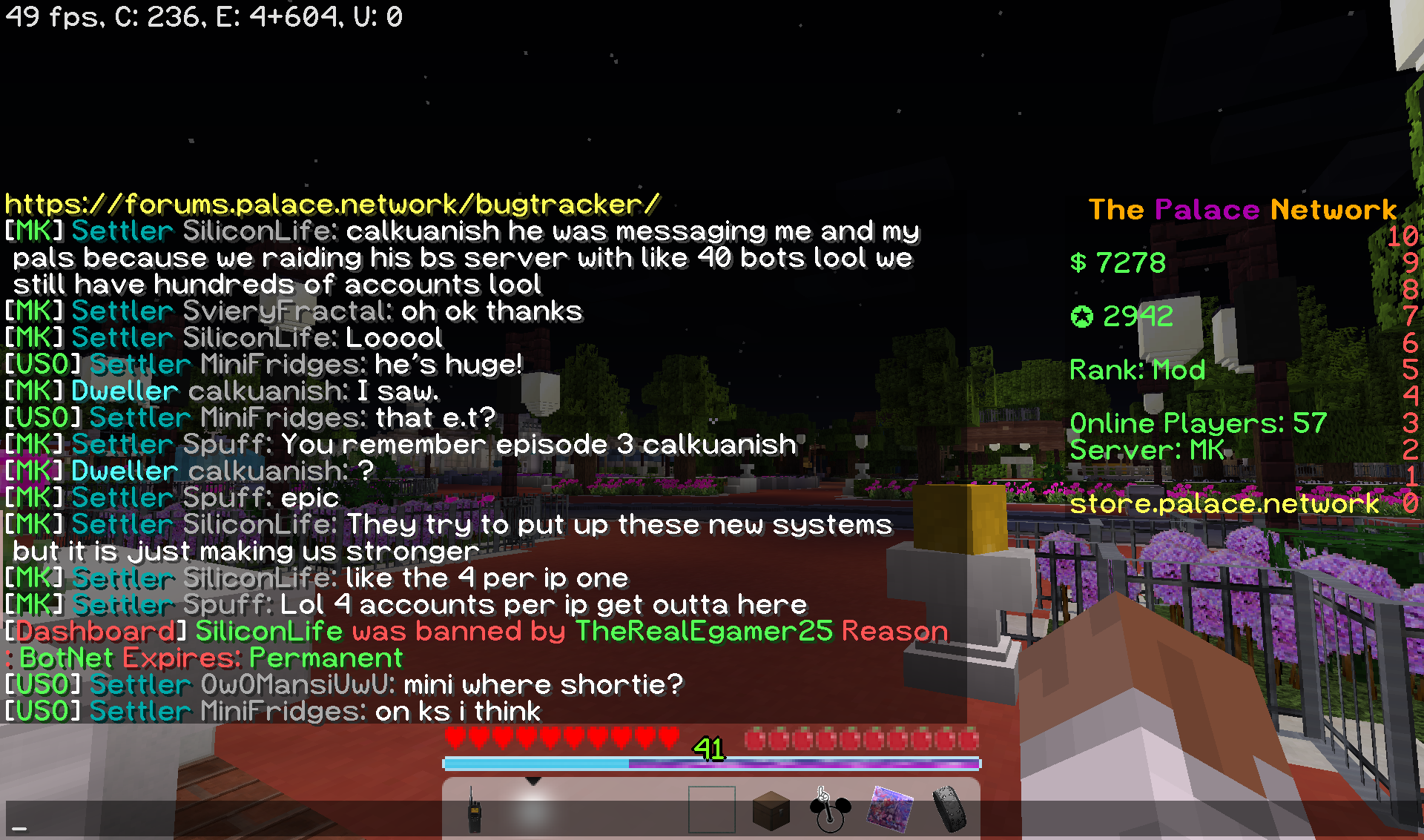 chat_D