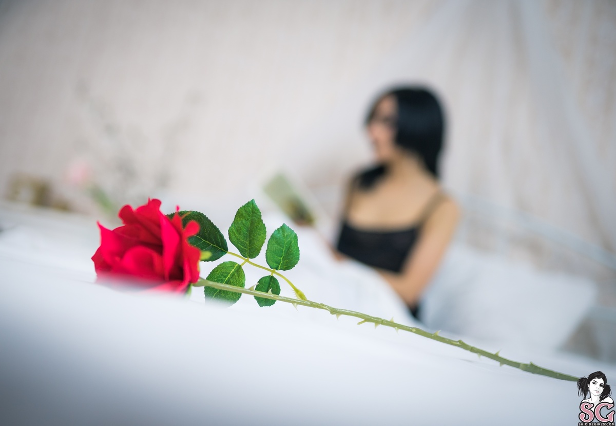 caomei-morningdesire-01.jpg