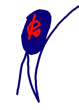 selection79.png