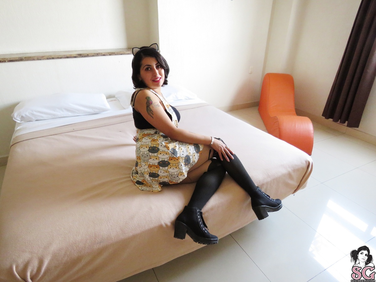 fenixparadise-catmeow-03.jpg